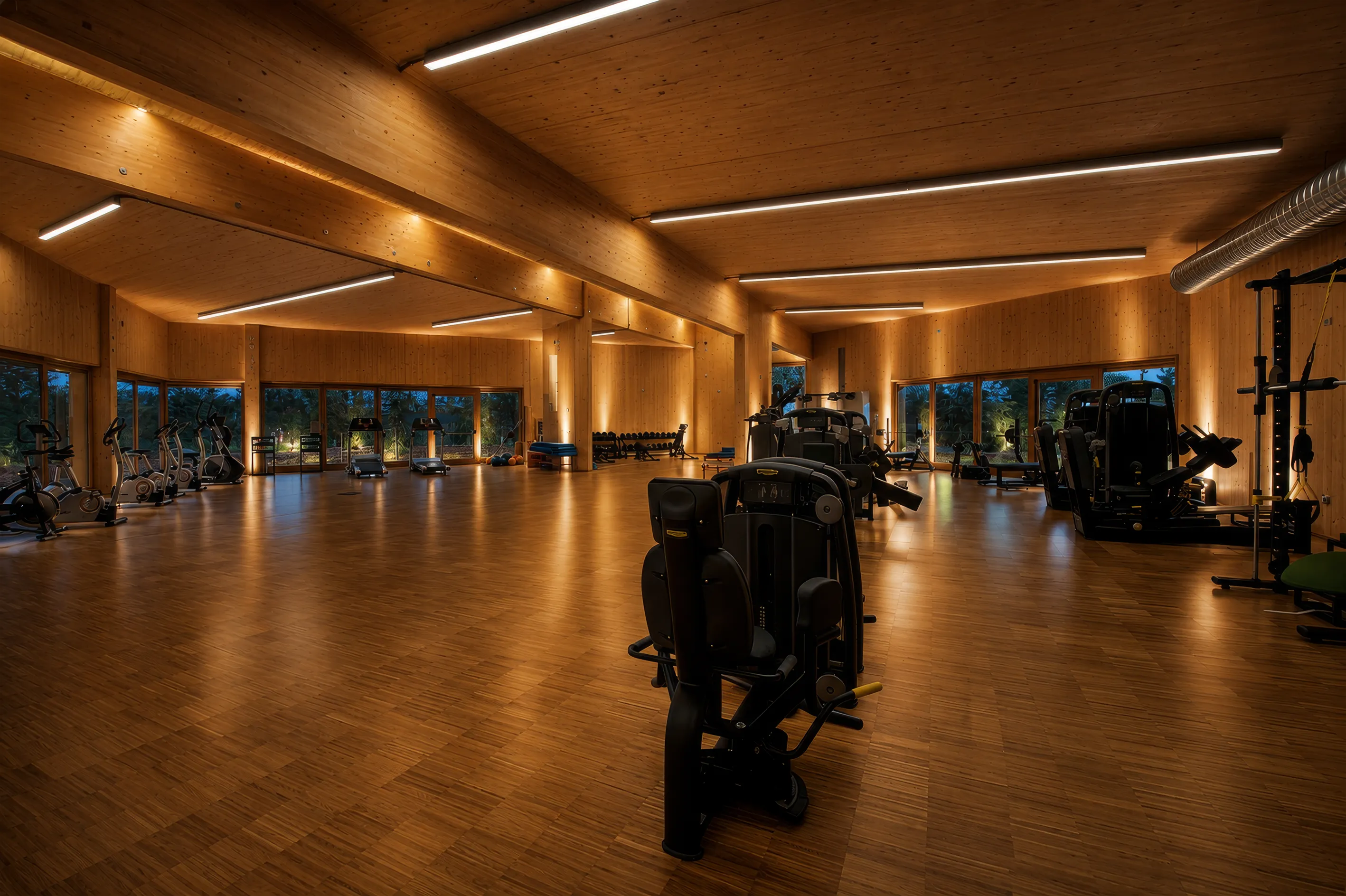 Palestra atalanta 2