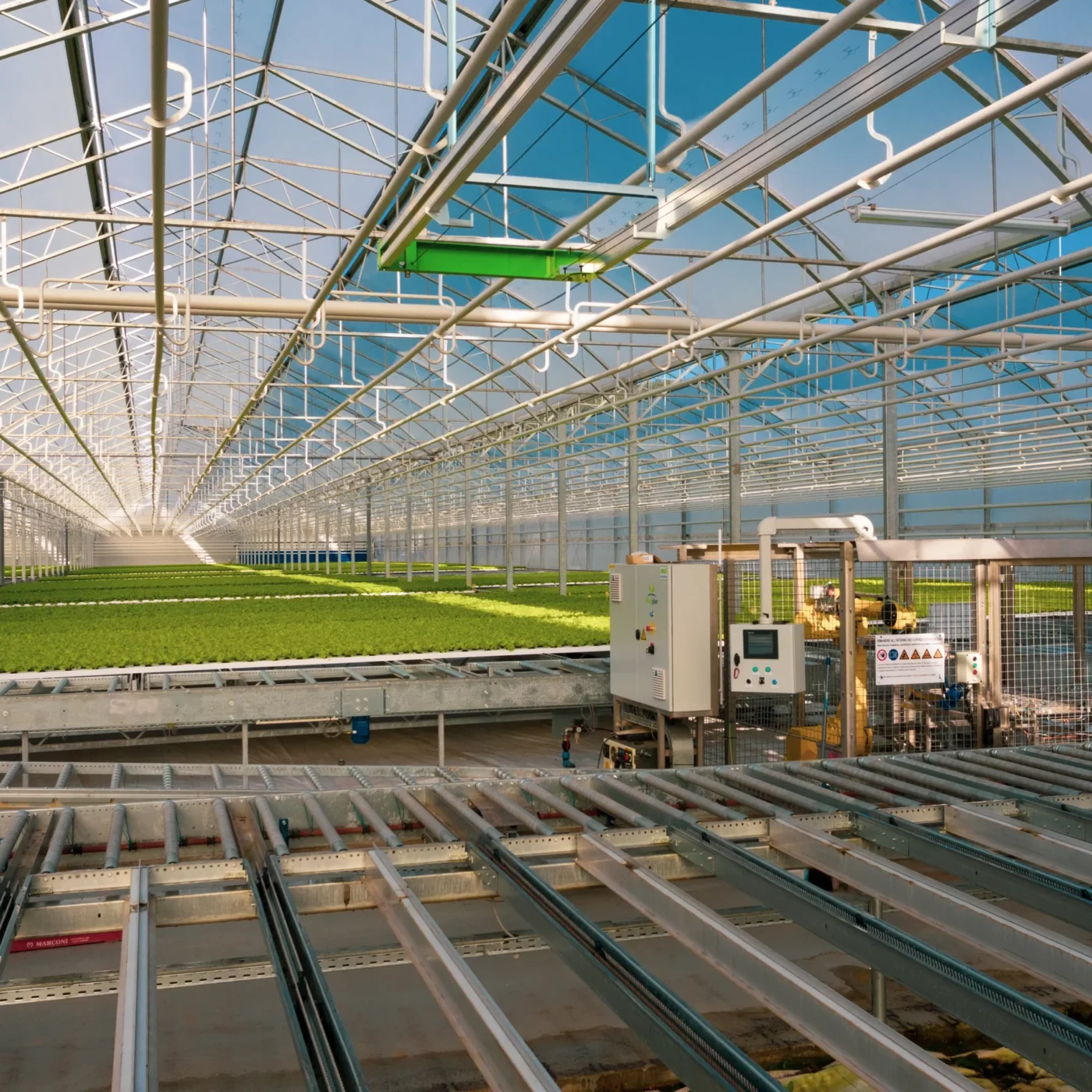 Azienda Agricola Ortocoltura